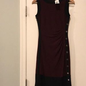 Lauren Ralph Lauren Dress 2